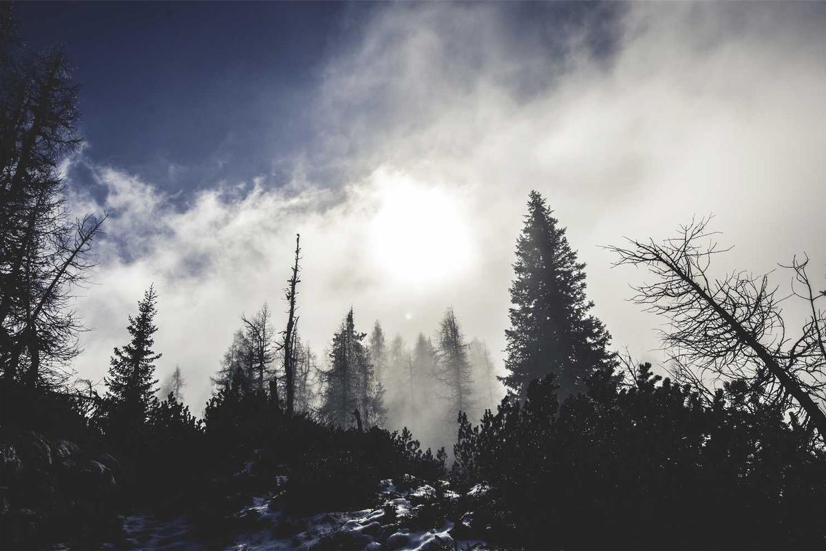 Silhouetted trees against cloudy sky, some snow visible.