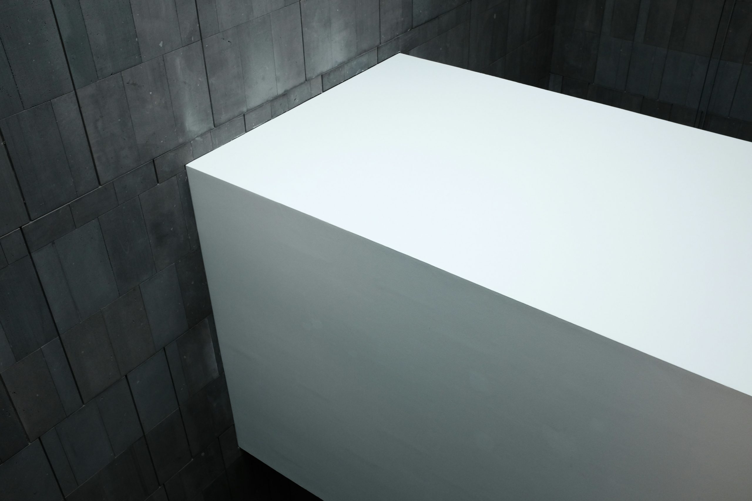 Rénovation de salle de bain de haute qualité avec baignoire blanche moderne et carrelage foncé.
