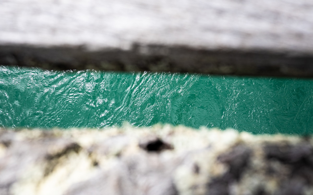 A close up of a green and white line