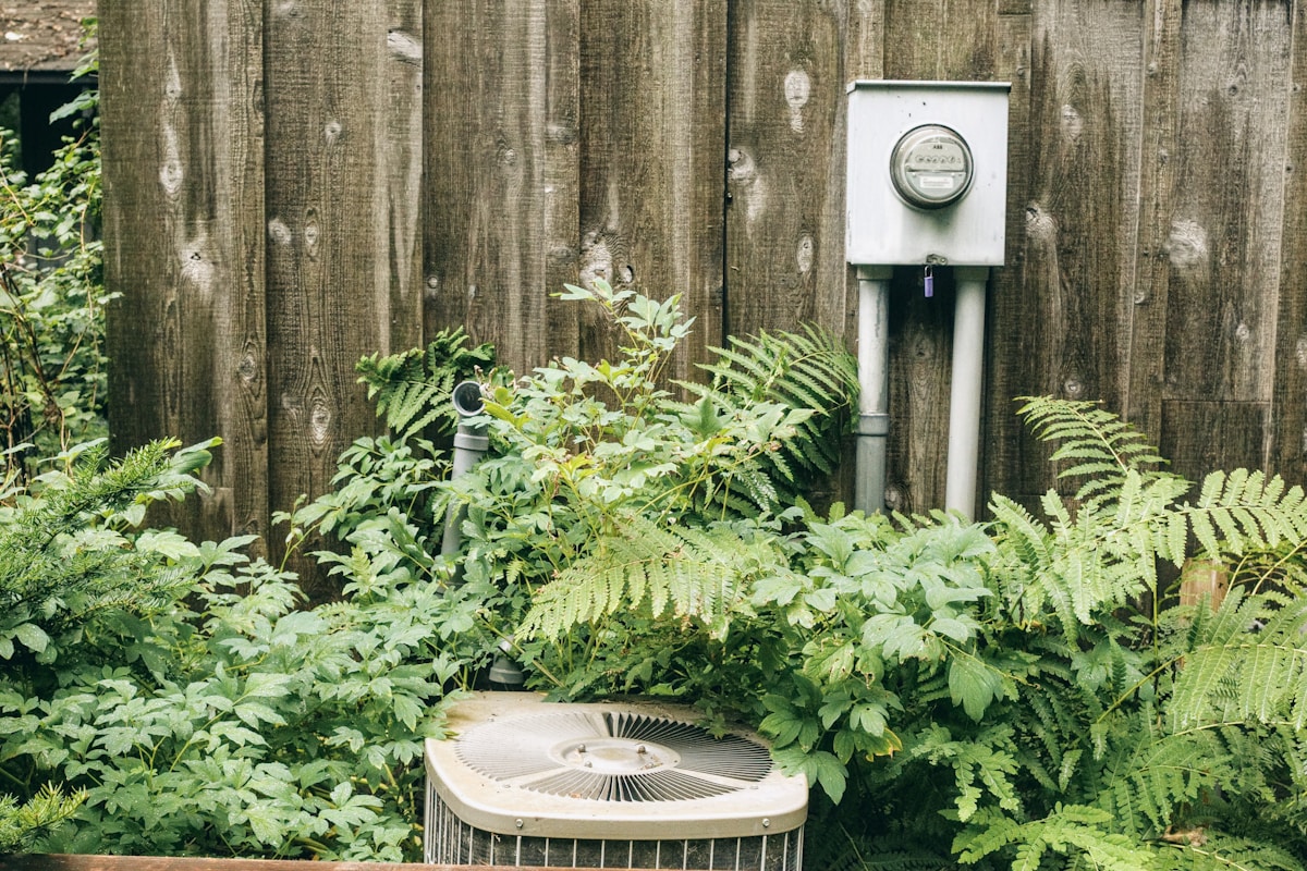 Jardin verdoyant avec clôture en bois, compteur électrique et ventilateur extérieur.
