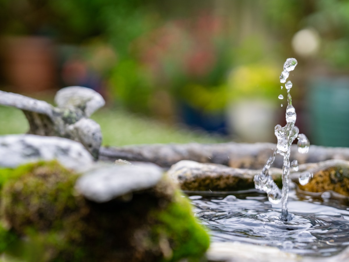 Fontaine d'eau jaillissante dans un jardin verdoyant avec des pierres.