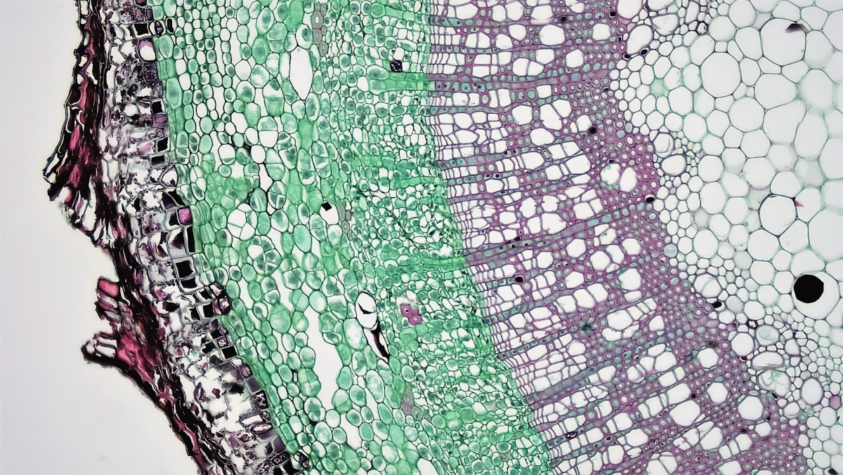 Motif abstrait de formes géométriques et de couleurs vives.